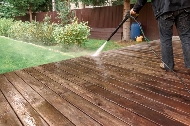 Best Roof Washing  in Baldwin, MI